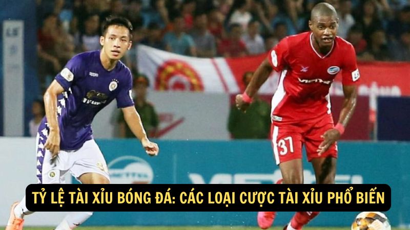 Tỷ Lệ Tài Xỉu Bóng Đá: Các Loại Cược Tài Xỉu Phổ Biến