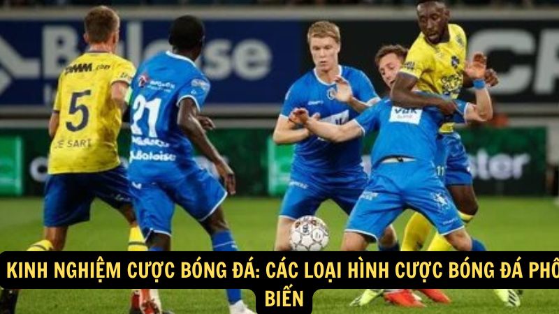 Kinh Nghiệm Cược Bóng Đá: Các loại hình cược bóng đá phổ biến