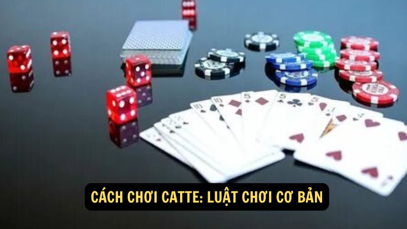 Cách Chơi Catte: Luật chơi cơ bản