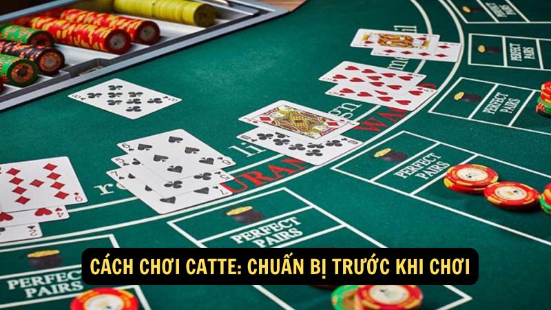 Cách Chơi Catte: Chuẩn bị trước khi chơi