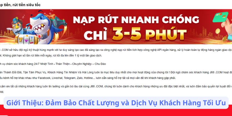 Giới Thiệu: Đảm Bảo Chất Lượng và Dịch Vụ Khách Hàng Tối Ưu