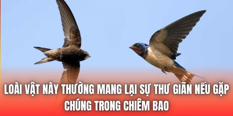 Loài vật này thường mang lại sự thư giãn nếu gặp chúng trong chiêm bao