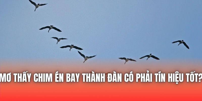 Mơ Thấy Chim Én Bay Thành Đàn Có Phải Tín Hiệu Tốt?